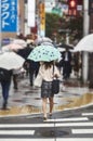 Attractive beautiful lady hold an umbrella. Royalty Free Stock Photo